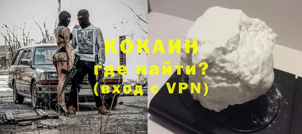 mix Богородицк